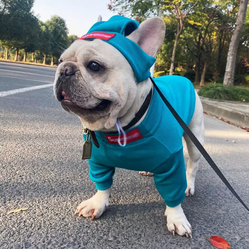 Teddy fresh 2024 hoodie for dogs
