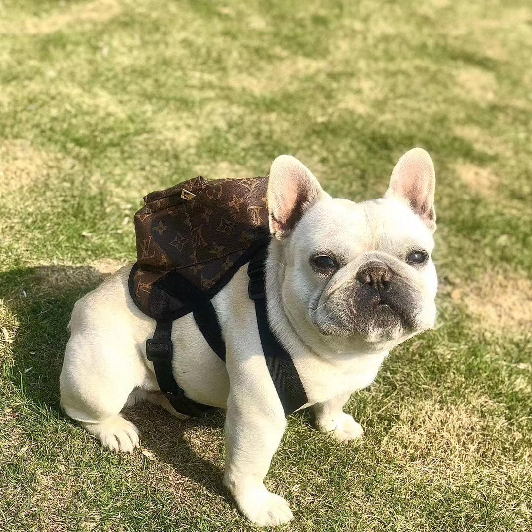 louis vuitton animal print backpack Louis Pawton Backpack – HawtDogs