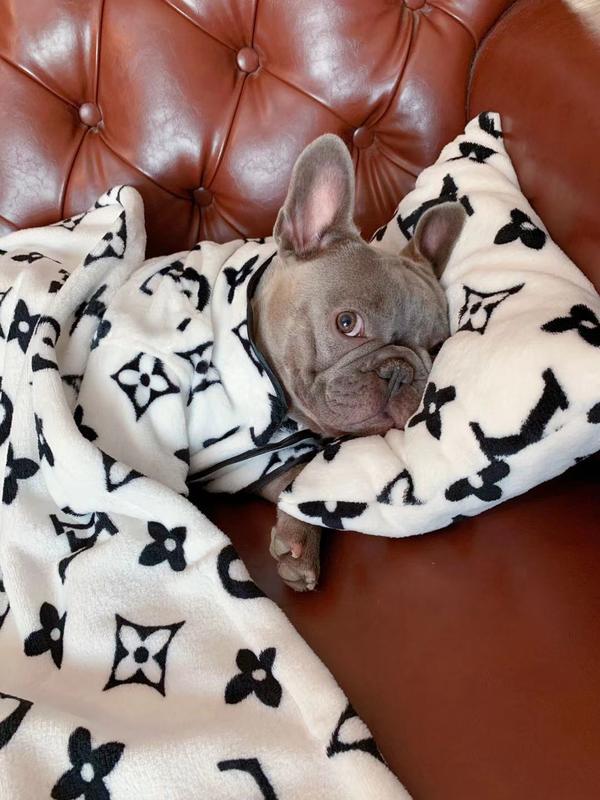 Chewy Vuitton Pajama, Blanket & Pillow Set