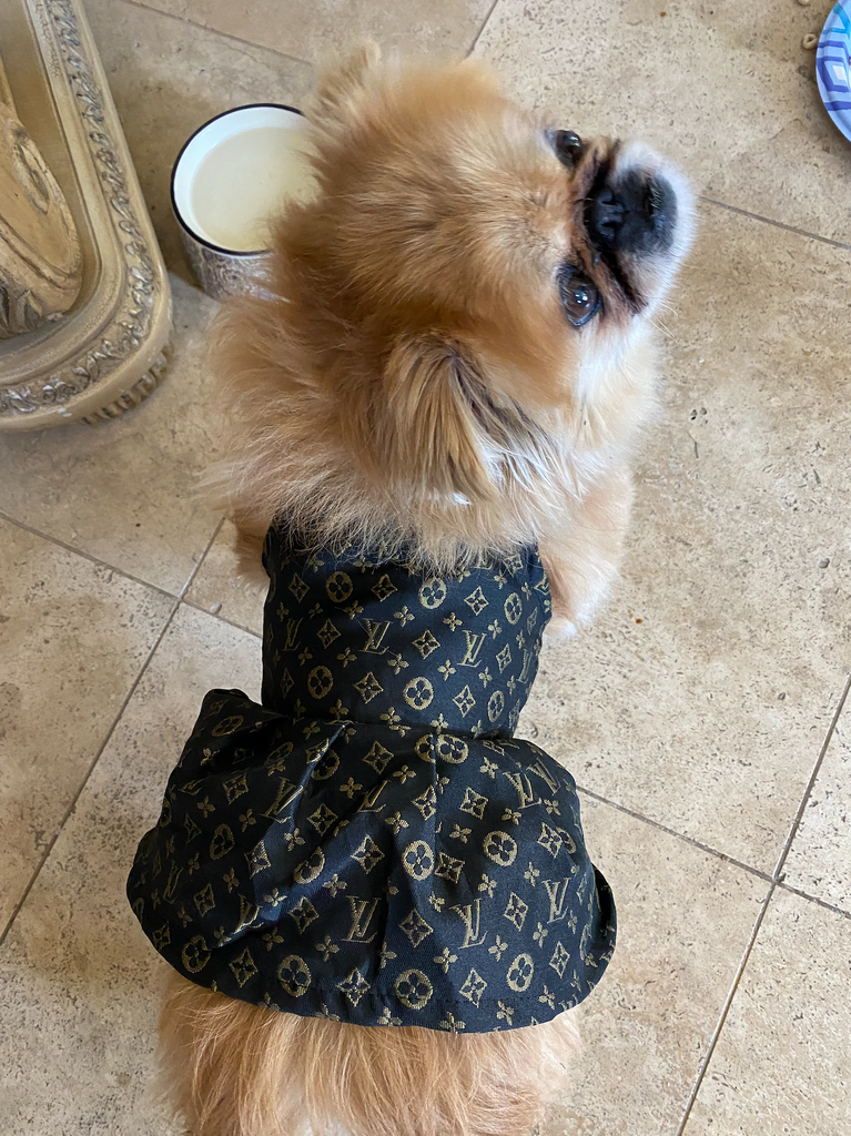 Louis Vuitton Dog Clothes Inspired